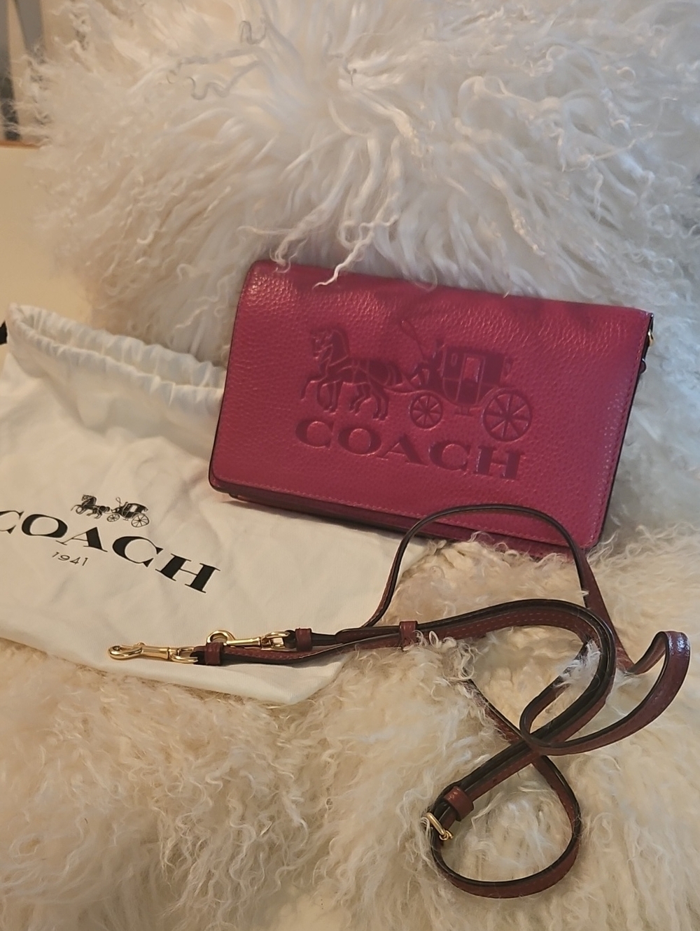 Coach Carriage Pebbled Leather Crossbody - Colorblock